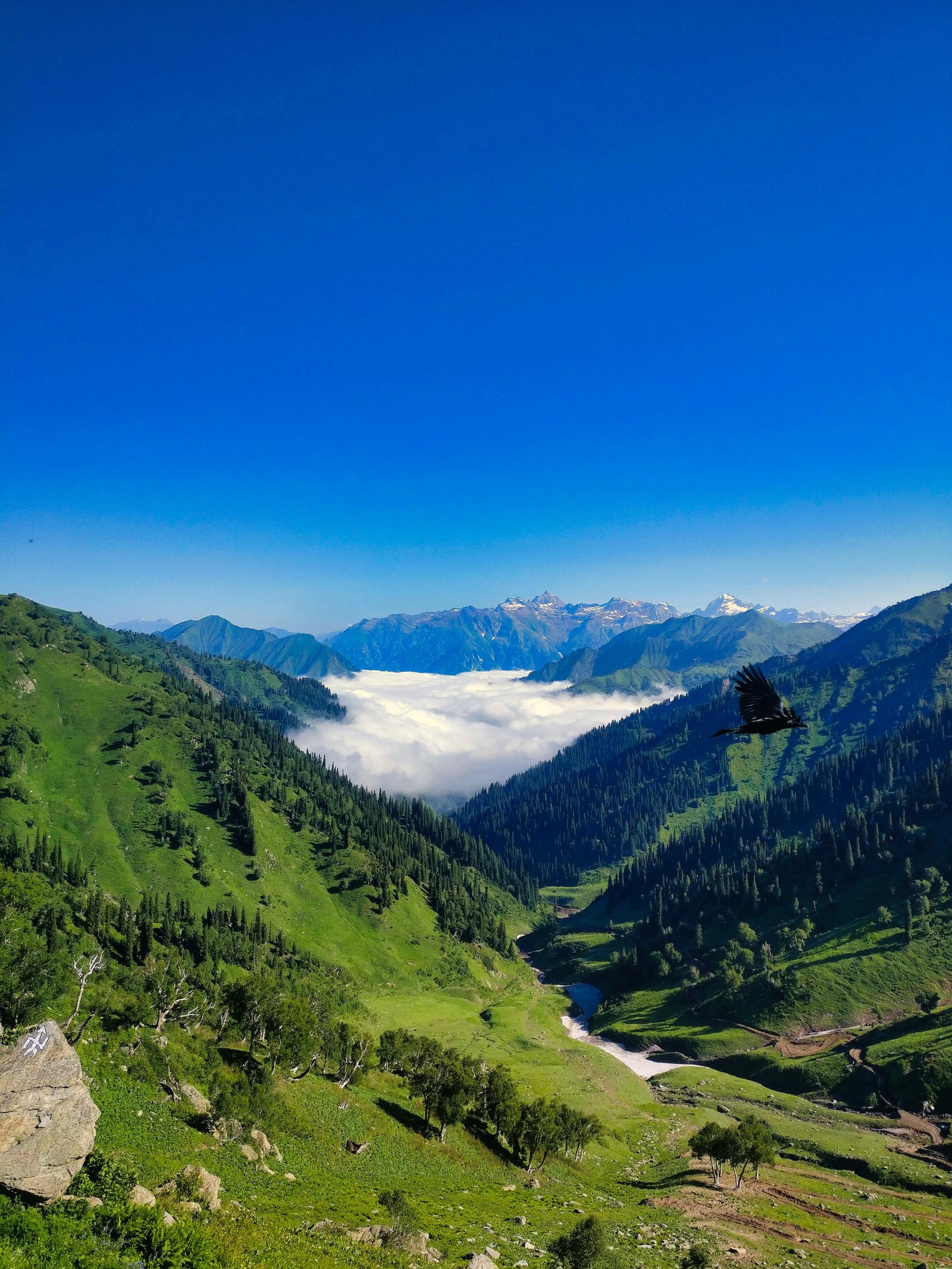 Kashmir Romantic Getaway - Kashmir Getaways
